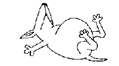 dg57.gif