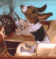 familydog.gif